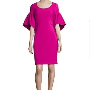 NWT Badgley Mischka Bell Sleeve Dress